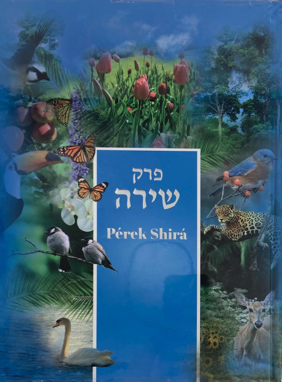 Perek Shira Hebrew/Spanish Extra Large 9"x12" (BKS-PSXL)
