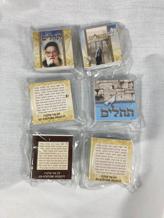 Tehillim Small-Soft Cover-In Bag (BK-THS)