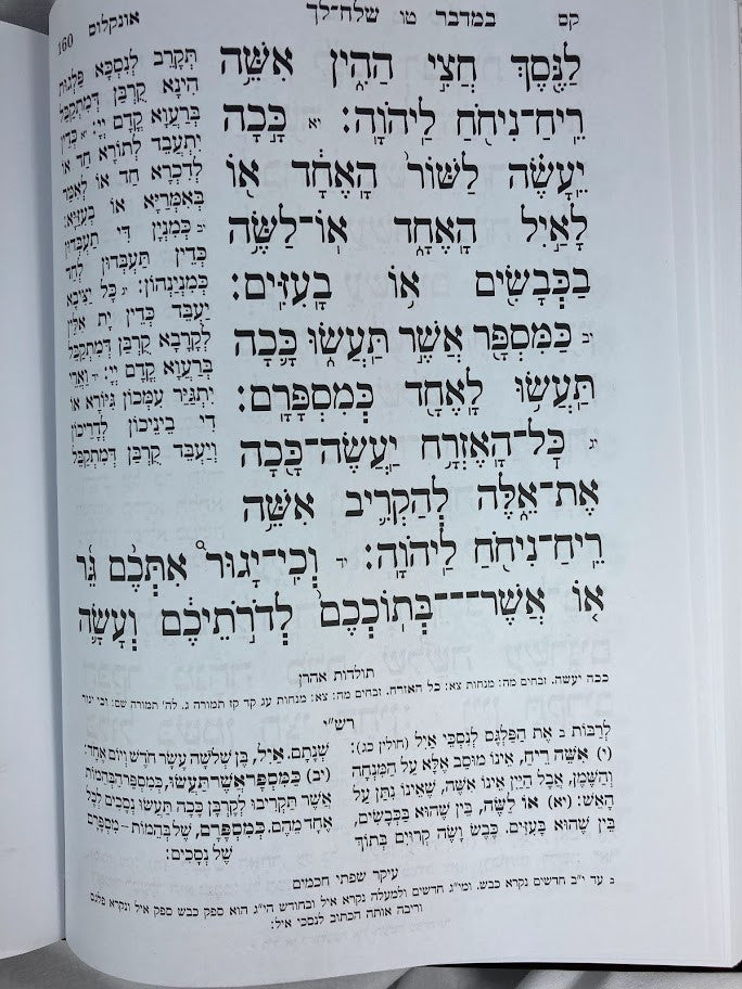 חמשה חומשי תורה אור שרגא סט 5 כרכים רש"י מנוקד (BK-COS5V)