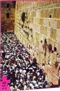 Puzzle The Western Wall 250PC (GM-P074)
