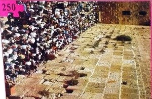 Puzzle The Western Wall 250PC (GM-P074)
