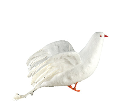 7" white Dove - price per dozen (L100035)