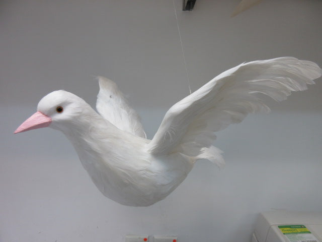 Big White Bird 20" (L100105)
