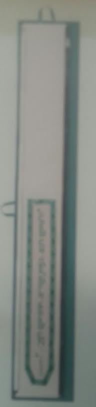 Lulav Holder Plastic Extra Long (L-LPLB13)