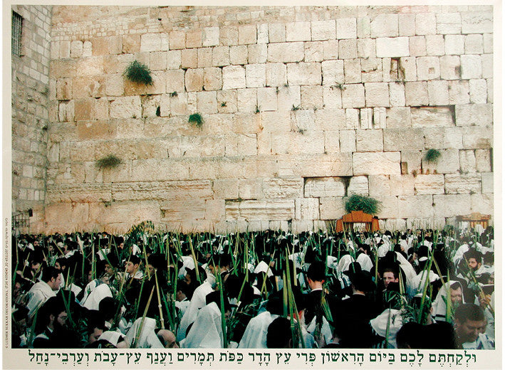 Laminated Poster 20" x 28"-- Kotel (P20)
