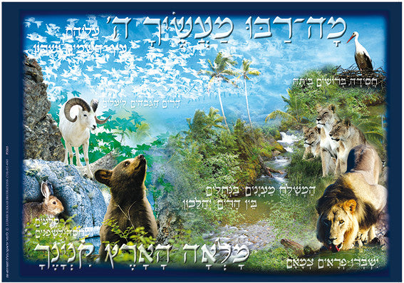 Small 3D Poster-- Ma Rabu (P3D05)
