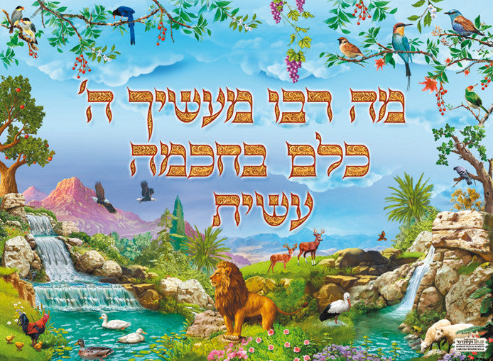 Laminated Poster 20" x 28"-- Ma Rabu (P411)