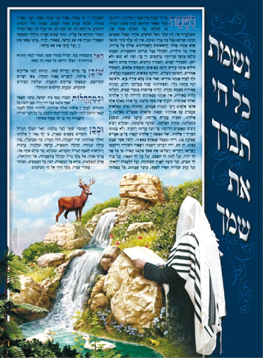 Laminated Poster 20" x 28"-- Nishmas (P416)