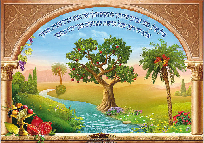 Laminated Poster 20" x 28"-- Ilan (P431)