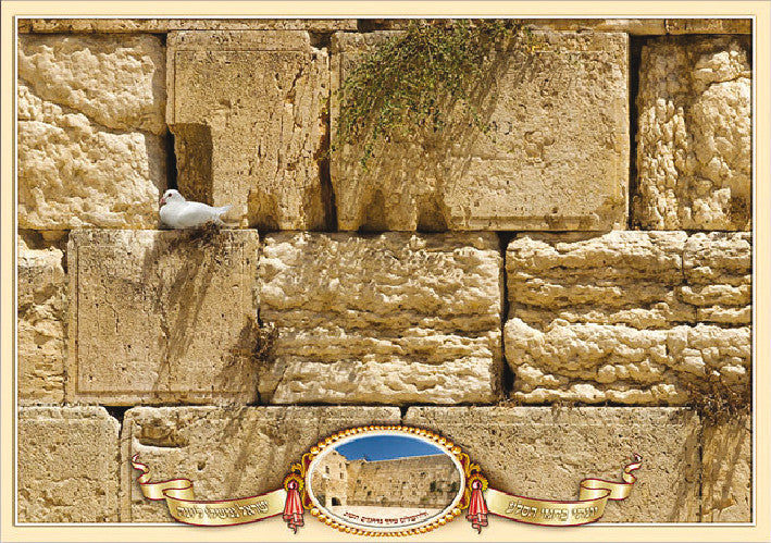 Laminated Poster 20" x 28"-- Kotel (P438)