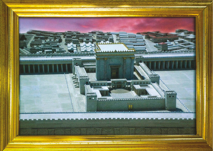 Laminated Poster 20" x 28"-- Bais Hamikdash (P493)