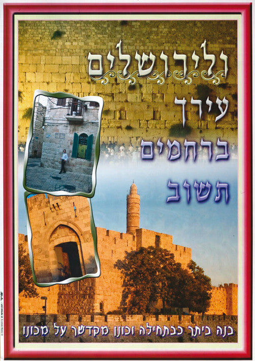Laminated Poster 20" x 28"-- Yerushalayim (P530)