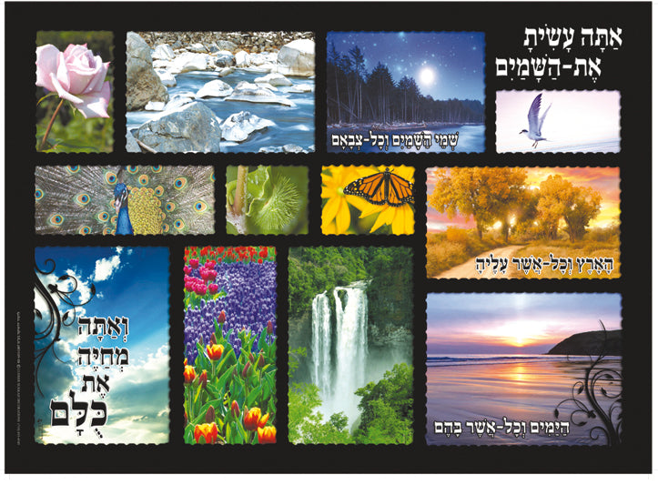 Laminated Poster 20" x 28"-- Nechemiah (P537)