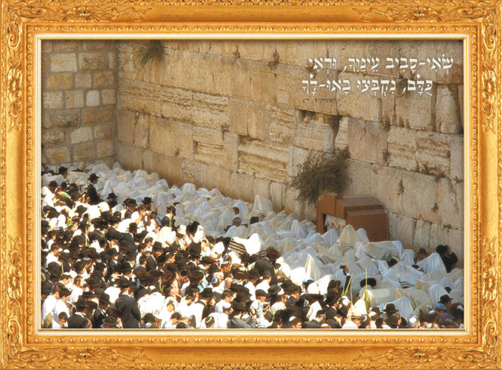 Laminated Poster 20" x 28"-- Ushpizin (P536)