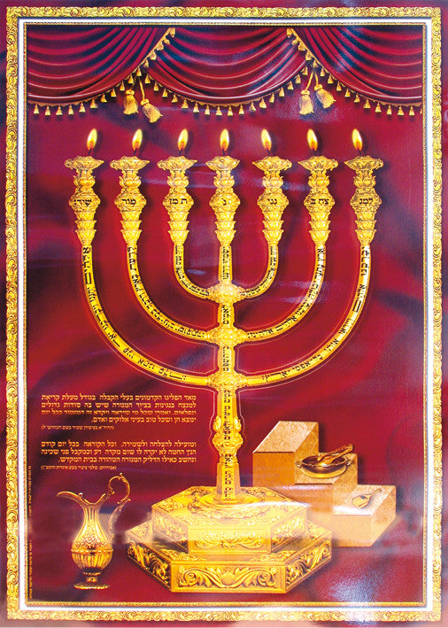 Laminated Poster 20" x 28"-- Menorah (P564)