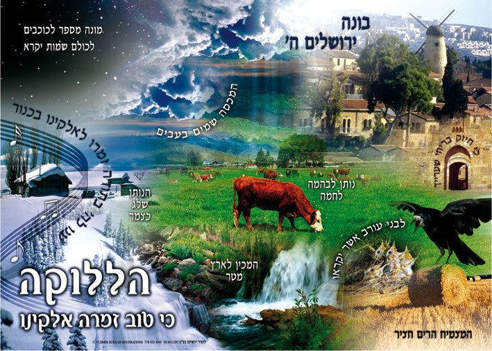 Laminated Poster 20" x 28"-- Tehillim (P569)