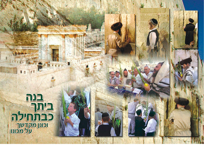 Laminated Poster 20"x 28" -- Bais Hamikdash (P607)
