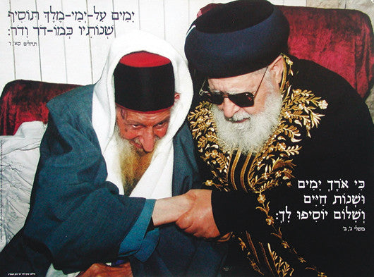 Laminated Poster 14" x 20"--- Gedolim (P617)