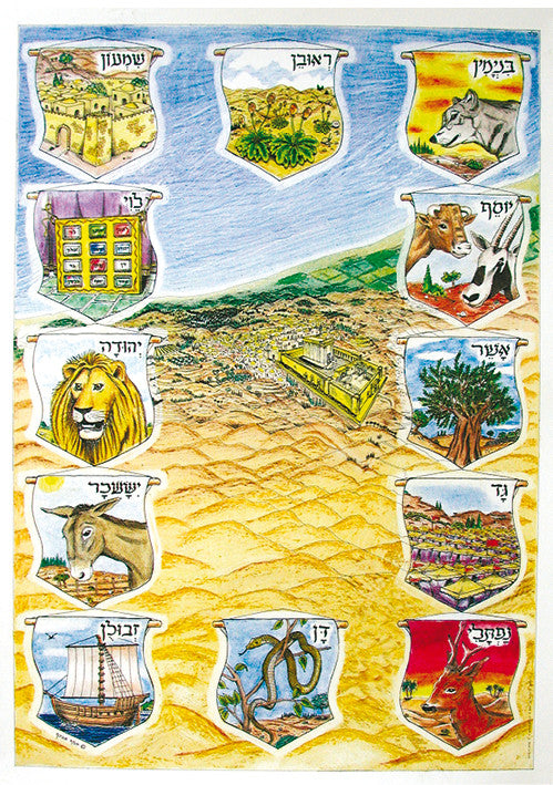 Laminated Poster 20" x 28"-- Shevatim (P622)