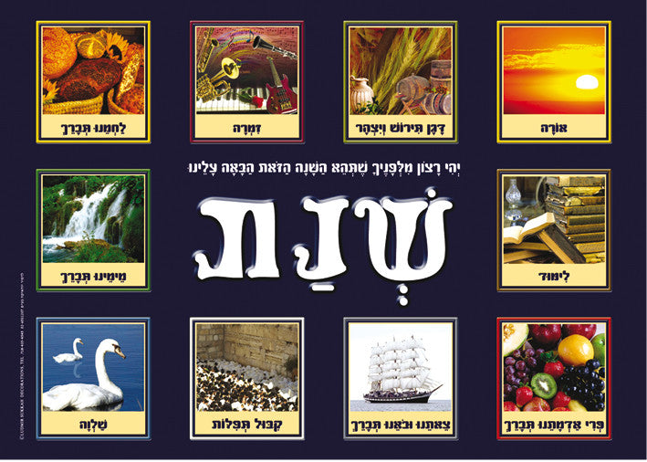 Laminated Poster 20" x 28"--New Year (P625)