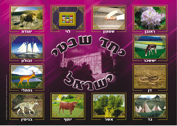 Laminated Poster 20" x 28"-- Shevatim (P626)
