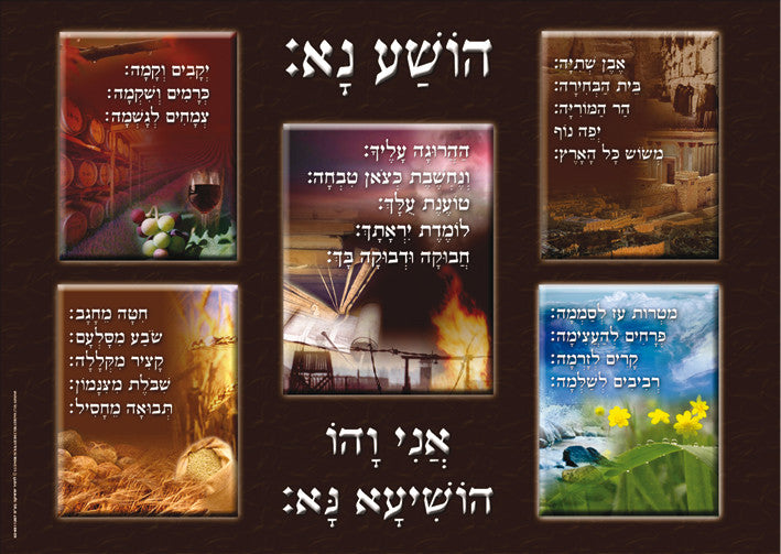Laminated Poster 20" x 28"-- Hoshanot (P627)