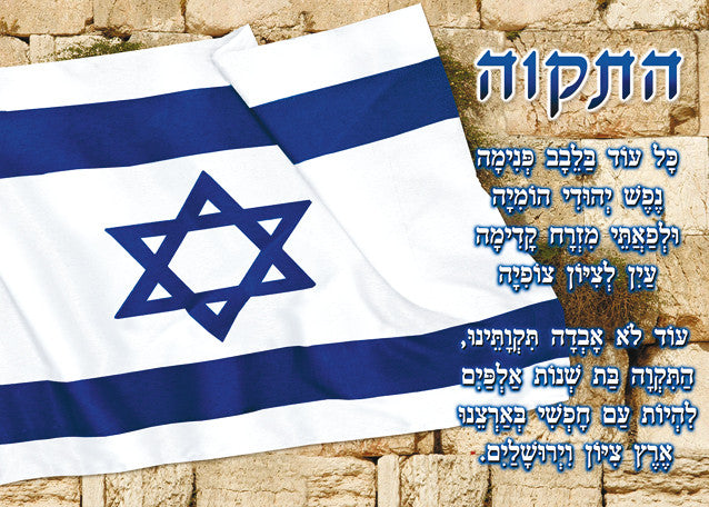 Laminated Poster 20" x 28"-- Hatikva (P644)