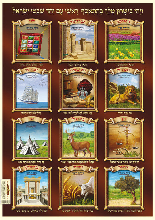 Laminated Poster 20" x 28"-- Shevatim (P708)