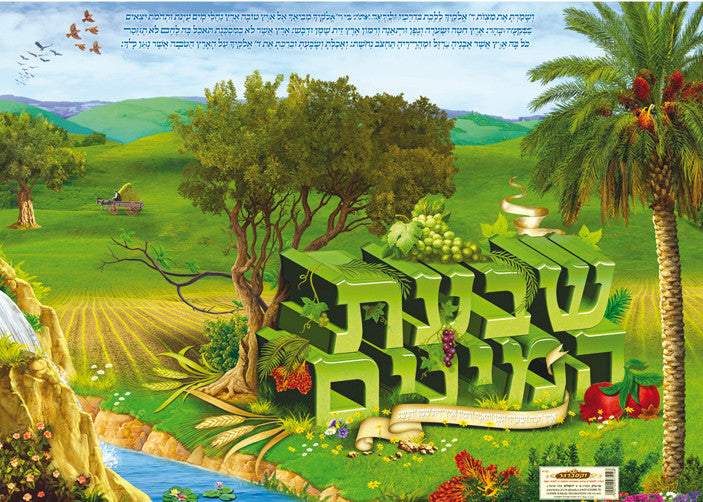 Laminated Poster 20" x 28"-- Shivat Haminim (P745)