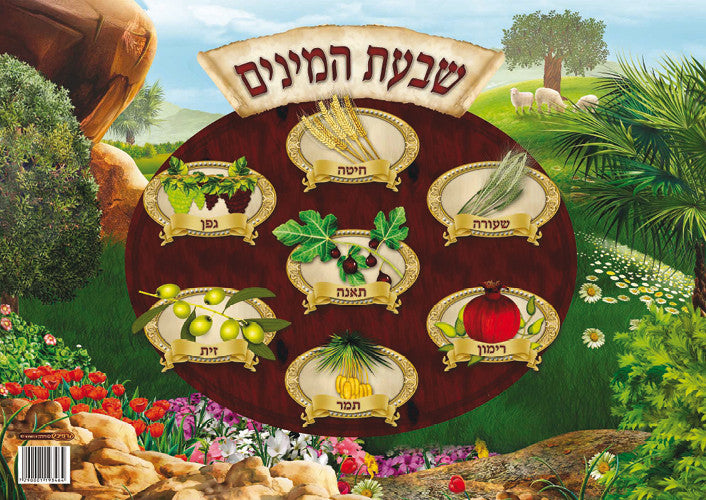 Laminated Poster 20" x 28"-- Shivat Haminim (P806)