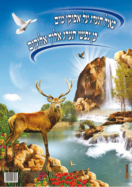 Laminated Poster 20" x 28"-- Tehillim (P808)
