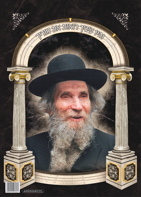 Laminated Poster 20" x 28"-- Rav Shteinman (P816)