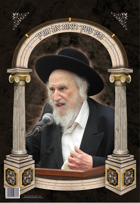 Laminated Poster 20" x 28"--Rav Auerbach (P817)