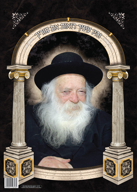 Laminated Poster 20" x 28"-- Rav Kanievsky (P818)