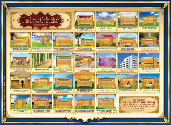 Laminated Poster 16" x 21"-- Laws of Sukkah (P835-S)