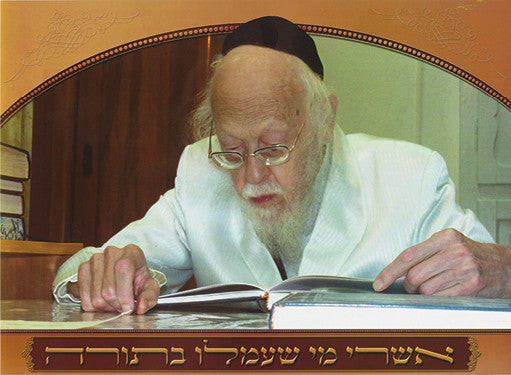 Laminated Poster 14" x 20"-- Rav Elyashiv (P839)