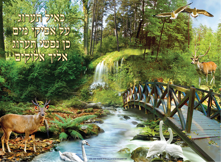 Laminated Poster 20" x 28"-- Tehillim (P850)