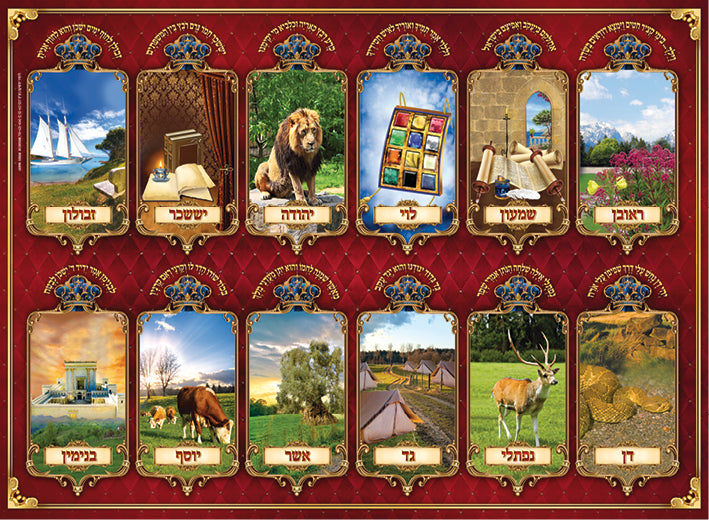Laminated Poster 20" x 28"-- Shevatim (P851)