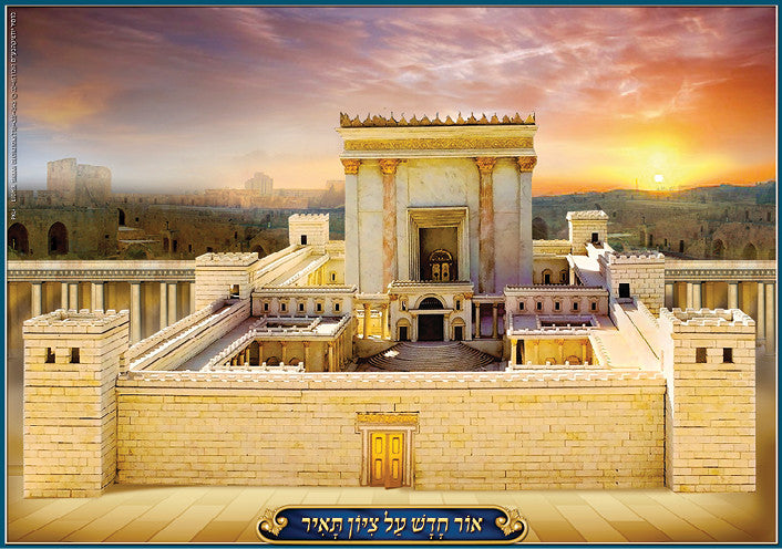 Laminated Poster 20" x 28"-- Bais Hamikdash (P861)
