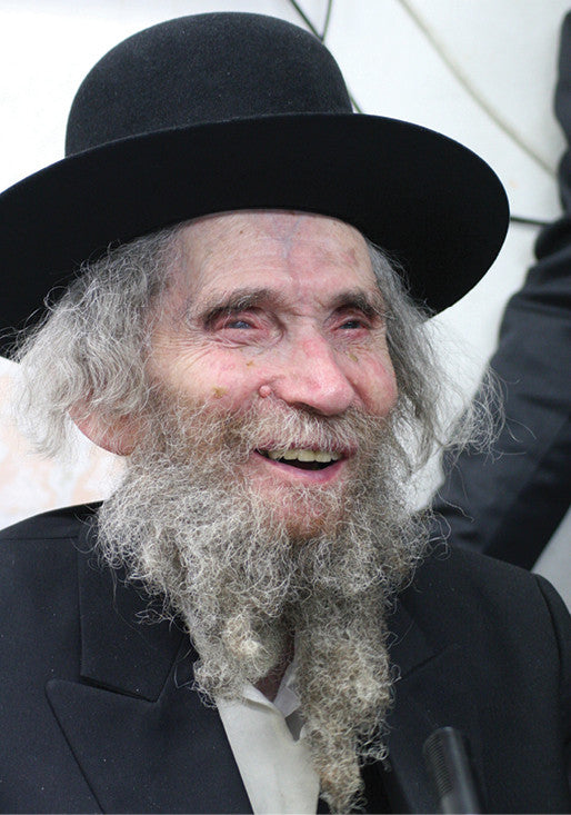 Laminated Poster 20" x 28"-- Rav Shteinman (P864)
