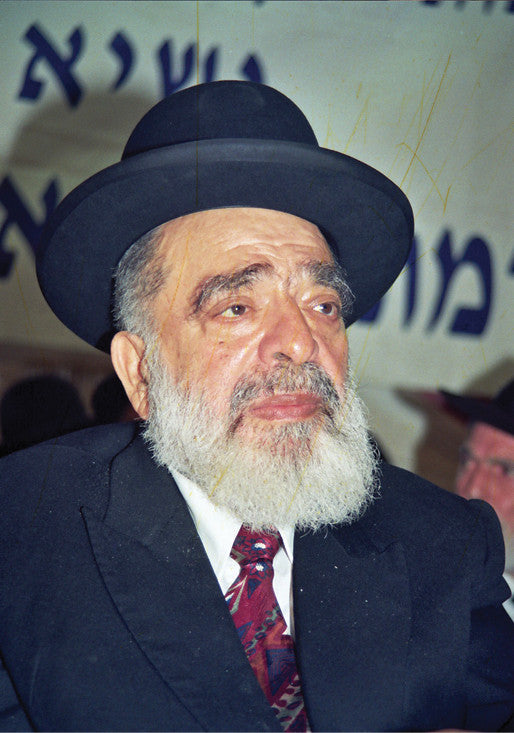 Laminated Poster 20" x 28"-- Rav Benzion Aba Shaul (P865)