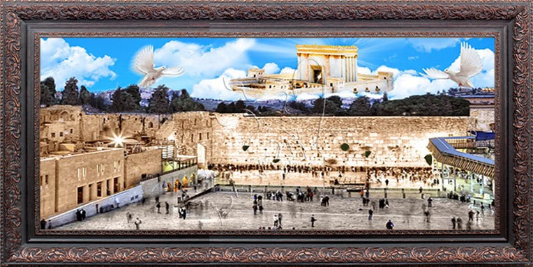 Moshiach - 20" x 40" - Frame (J887)