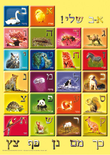 Embossed Plastic Poster-- Alef Bet(PL-31)