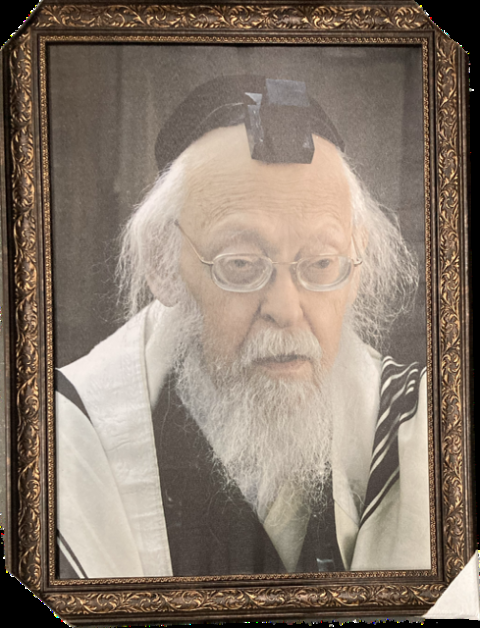 Rav Elyashiv 12" x 16" Framed Canvas (J10C21S)