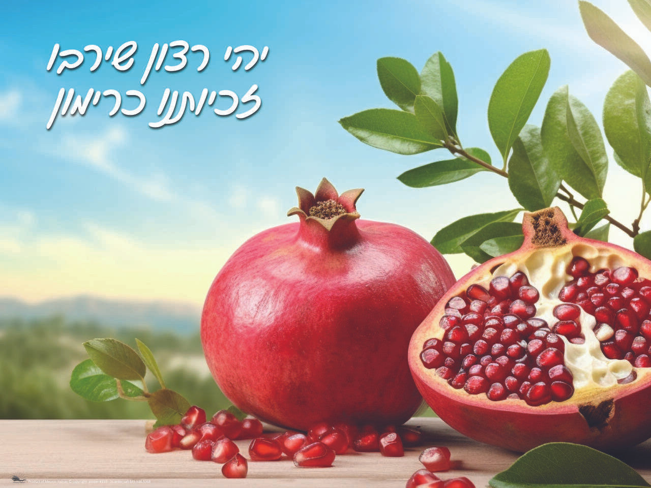 Laminated Poster Rimon -18"x24" (P1962)