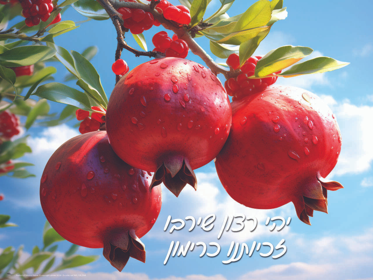 Laminated Poster Rimonim -18"x24" (P1963)