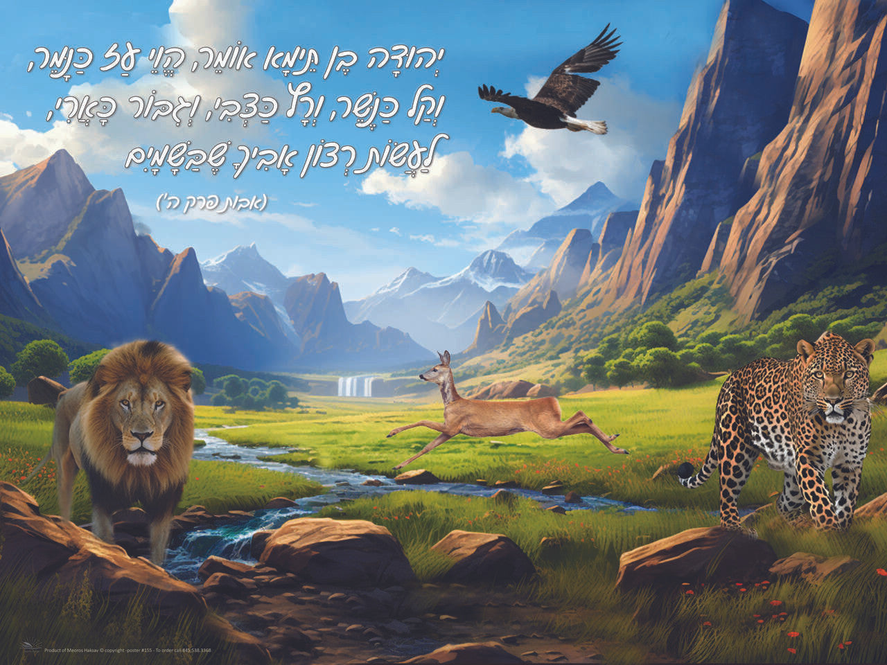 Laminated Poster-Yehuda Ben Taima-18"x24" (P1964)