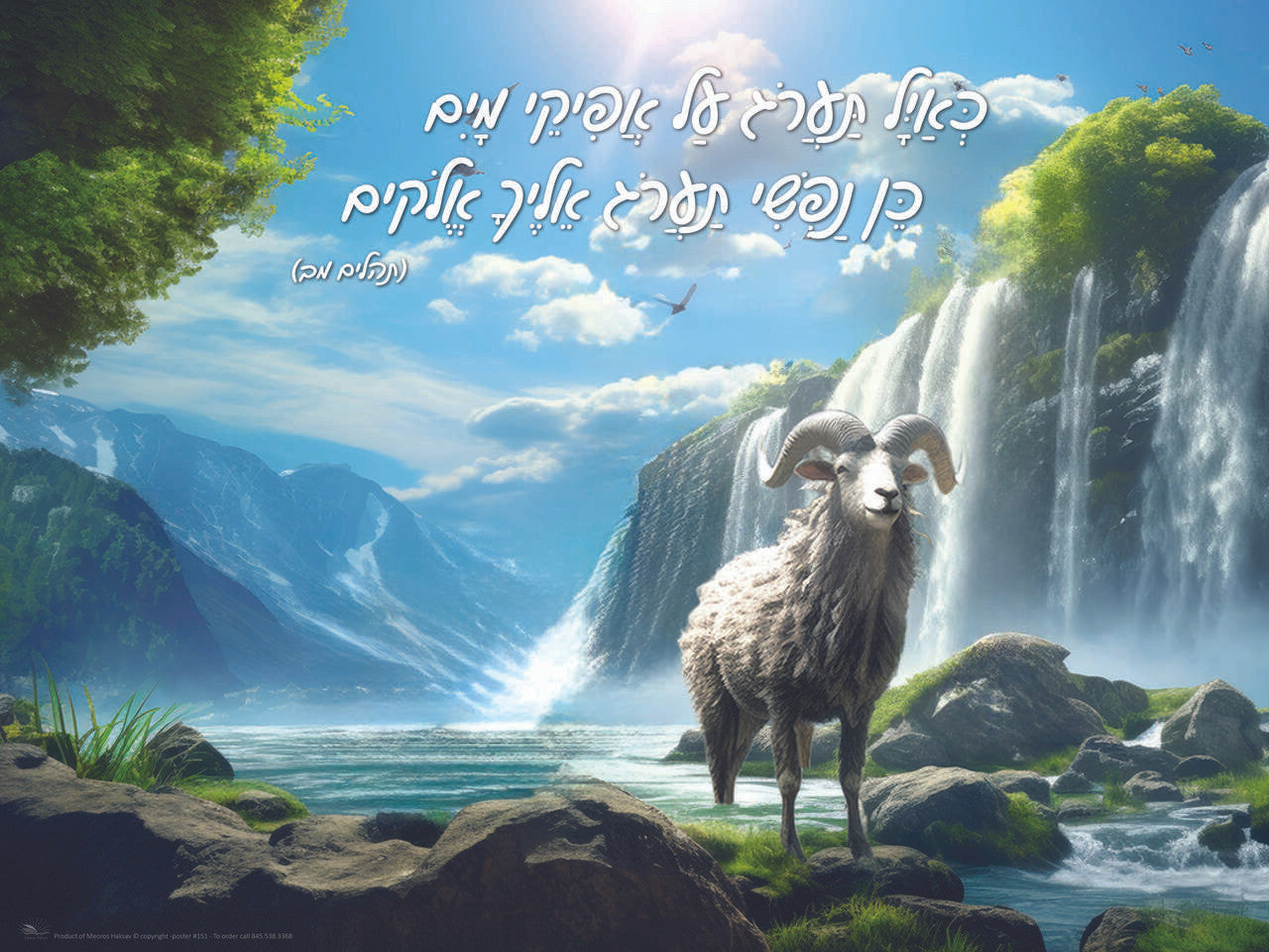 Laminated Poster K'ayal Taroig -18"x24" (P1960)