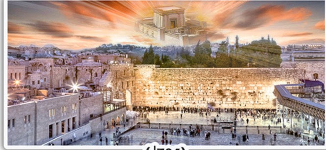 Moshiach-Night- 20" x 40" - Frame (J886)