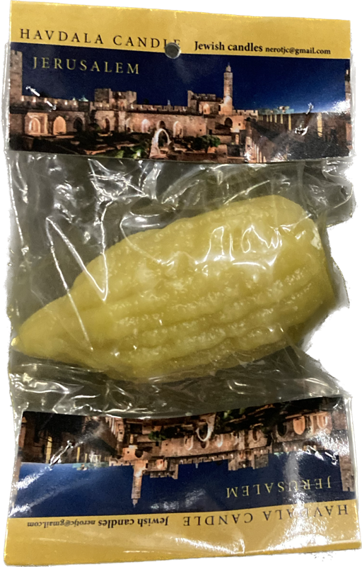 Havdallah Candle Etrog Shape Mini 1.5"x3.5" Jewish Candle (HV-HMC3X6JCS)